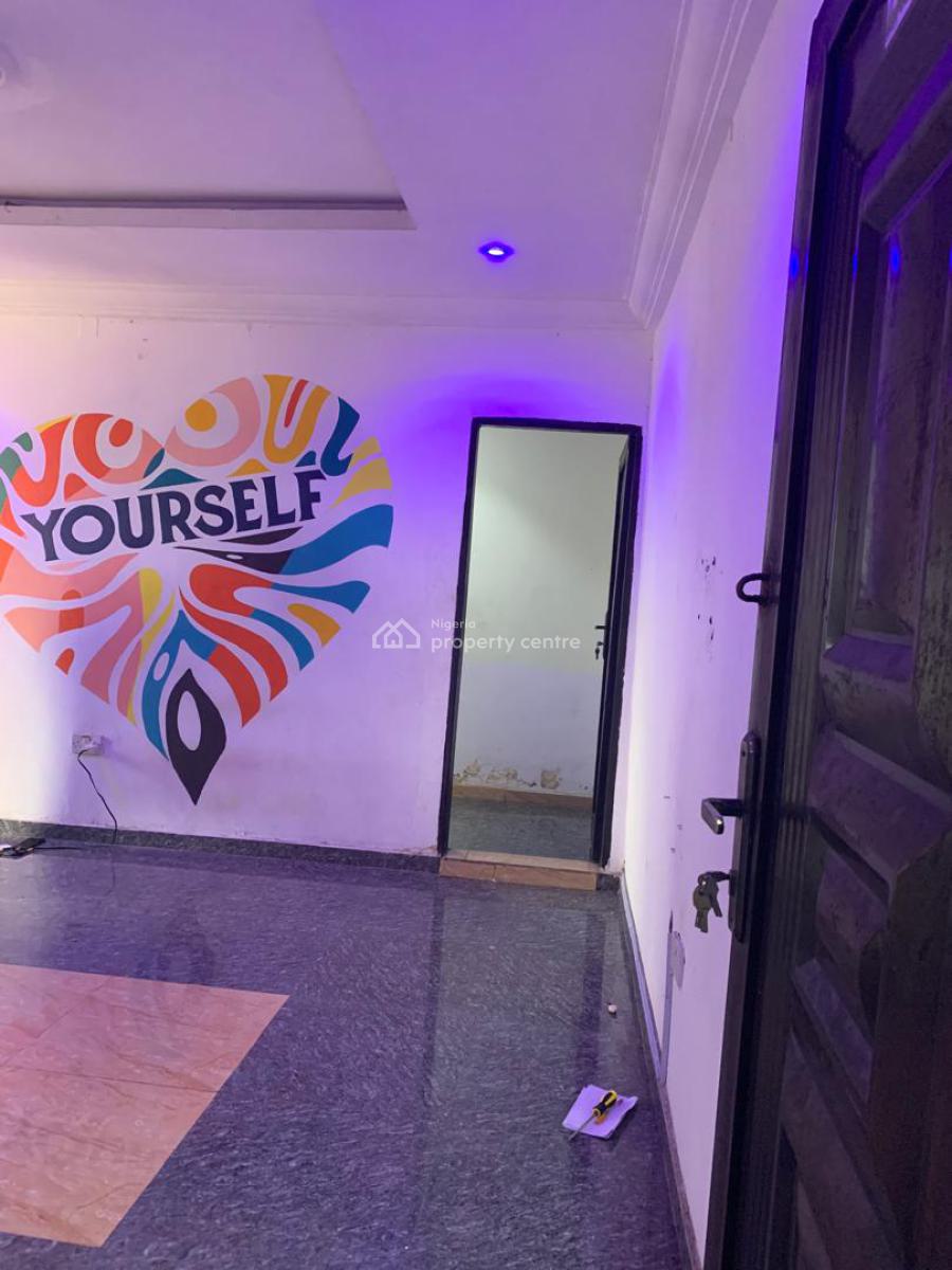 Astonished and Very Spacious Mini Flat, Off Aborishade Street, Surulere, Lagos, Flat / Apartment for Rent
