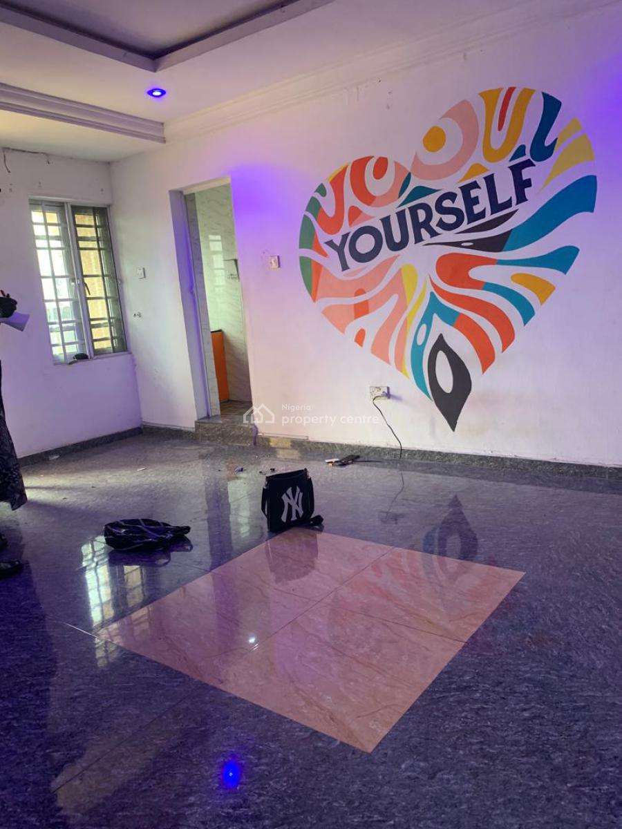 Astonished and Very Spacious Mini Flat, Off Aborishade Street, Surulere, Lagos, Flat / Apartment for Rent