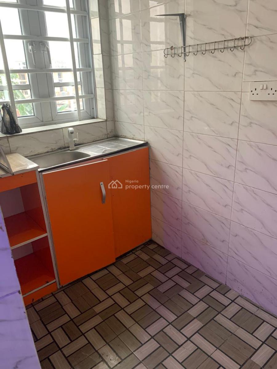 Astonished and Very Spacious Mini Flat, Off Aborishade Street, Surulere, Lagos, Flat / Apartment for Rent