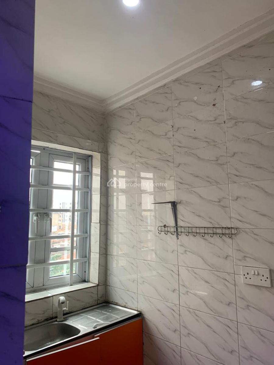 Astonished and Very Spacious Mini Flat, Off Aborishade Street, Surulere, Lagos, Flat / Apartment for Rent
