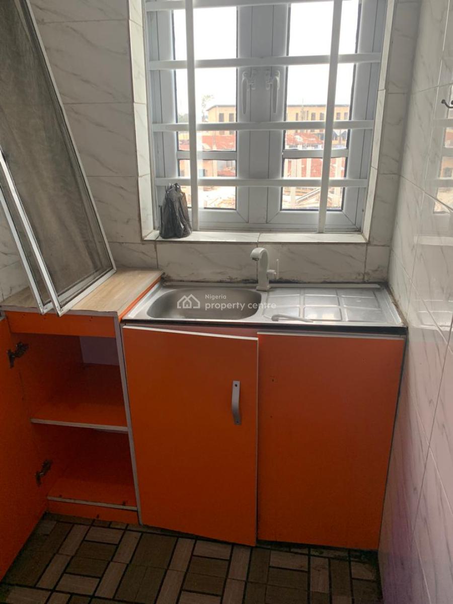 Astonished and Very Spacious Mini Flat, Off Aborishade Street, Surulere, Lagos, Flat / Apartment for Rent