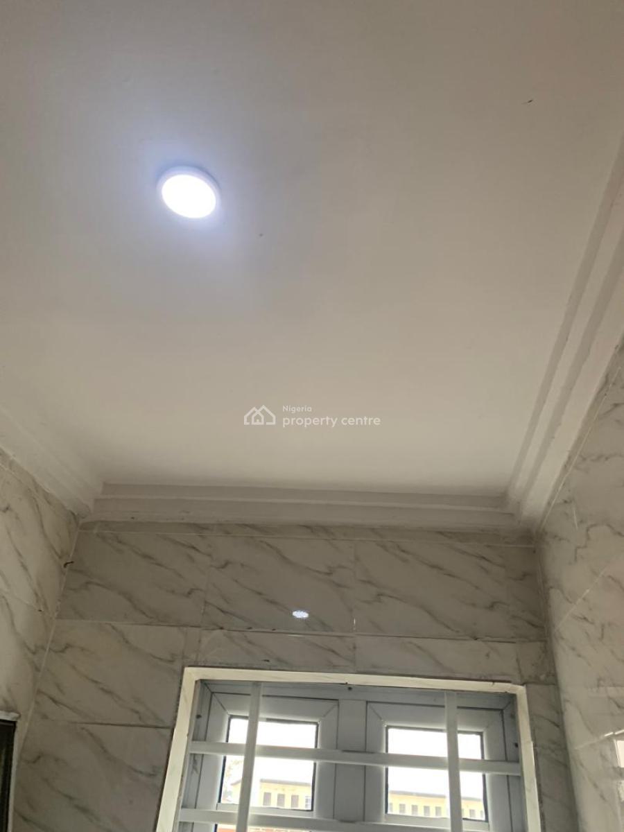 Astonished and Very Spacious Mini Flat, Off Aborishade Street, Surulere, Lagos, Flat / Apartment for Rent