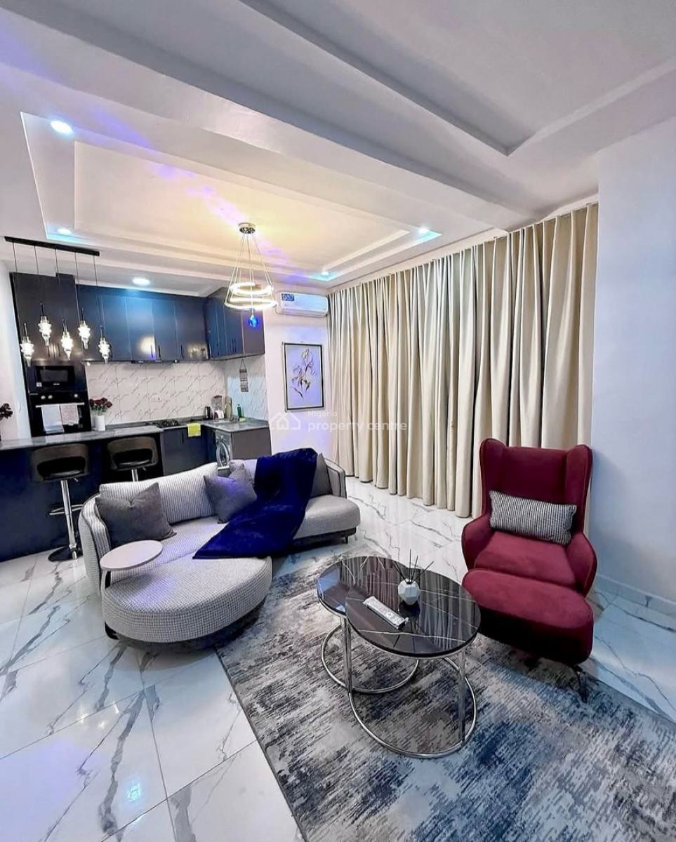 Ravishing 2 Bedroom Fully Serv & Furnished Apartment,24/7 Services, Serene Neighborhood, Wuye, Abuja, Flat / Apartment for Rent