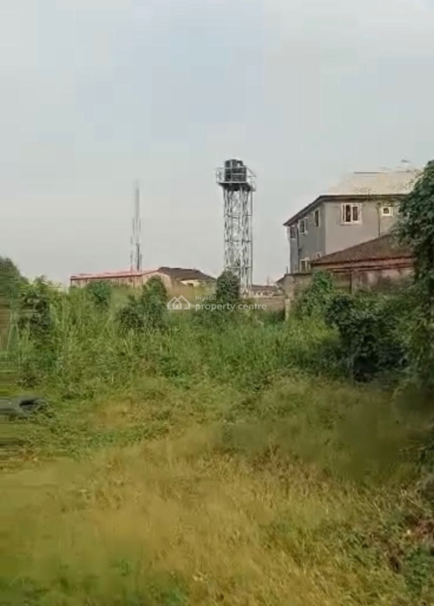 1300sqm Dry Land in a Demanding Area, Akoka, Yaba, Lagos, Mixed-use Land for Sale