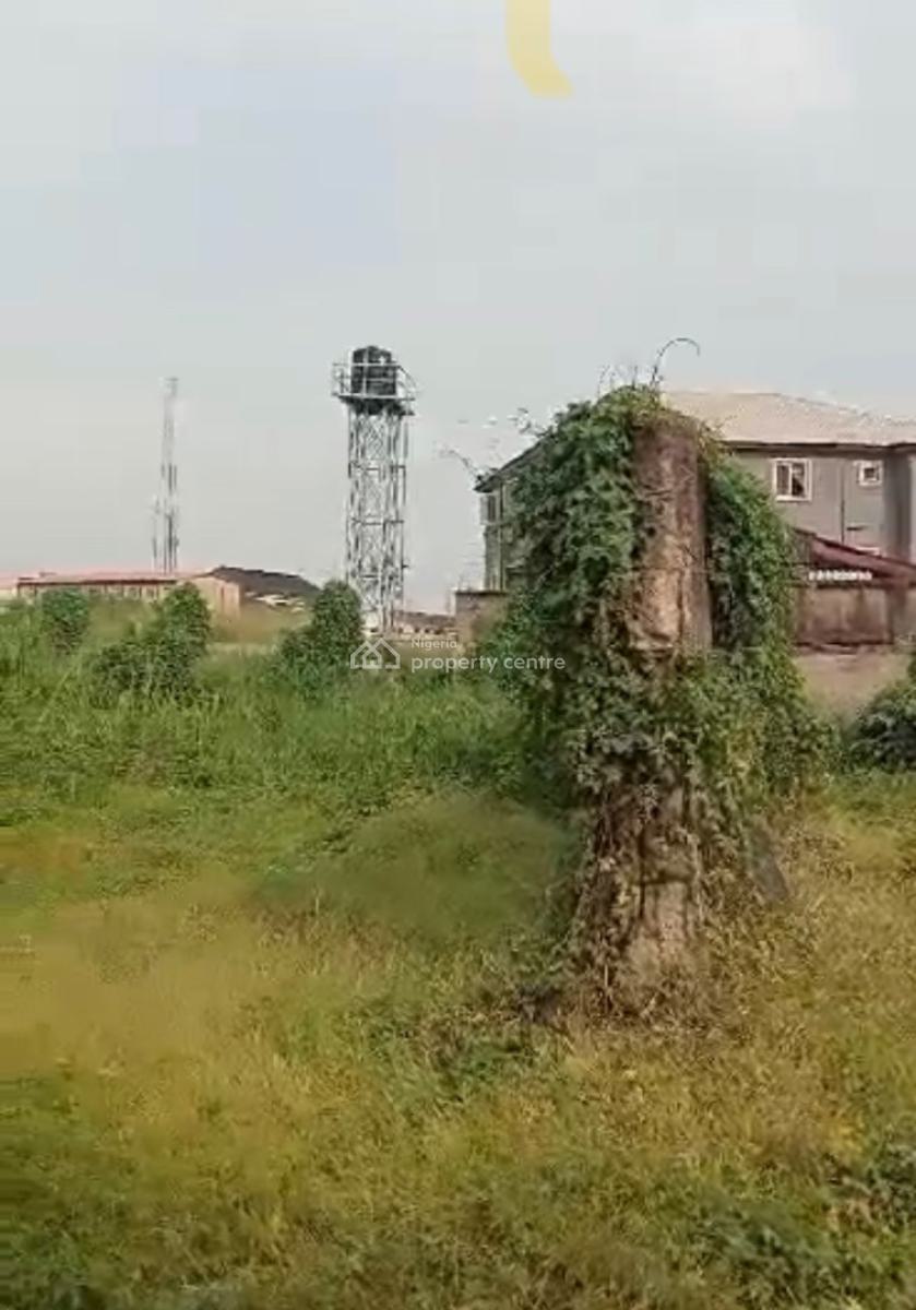 1300sqm Dry Land in a Demanding Area, Akoka, Yaba, Lagos, Mixed-use Land for Sale