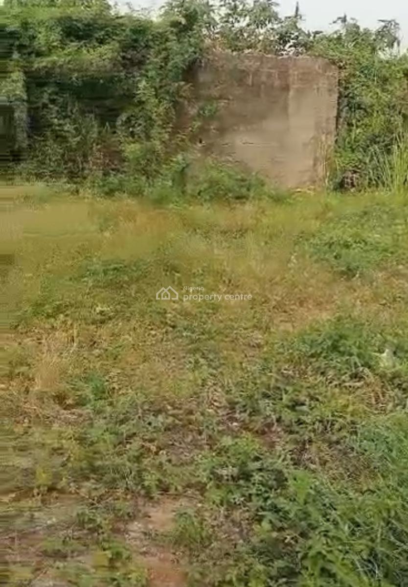 1300sqm Dry Land in a Demanding Area, Akoka, Yaba, Lagos, Mixed-use Land for Sale
