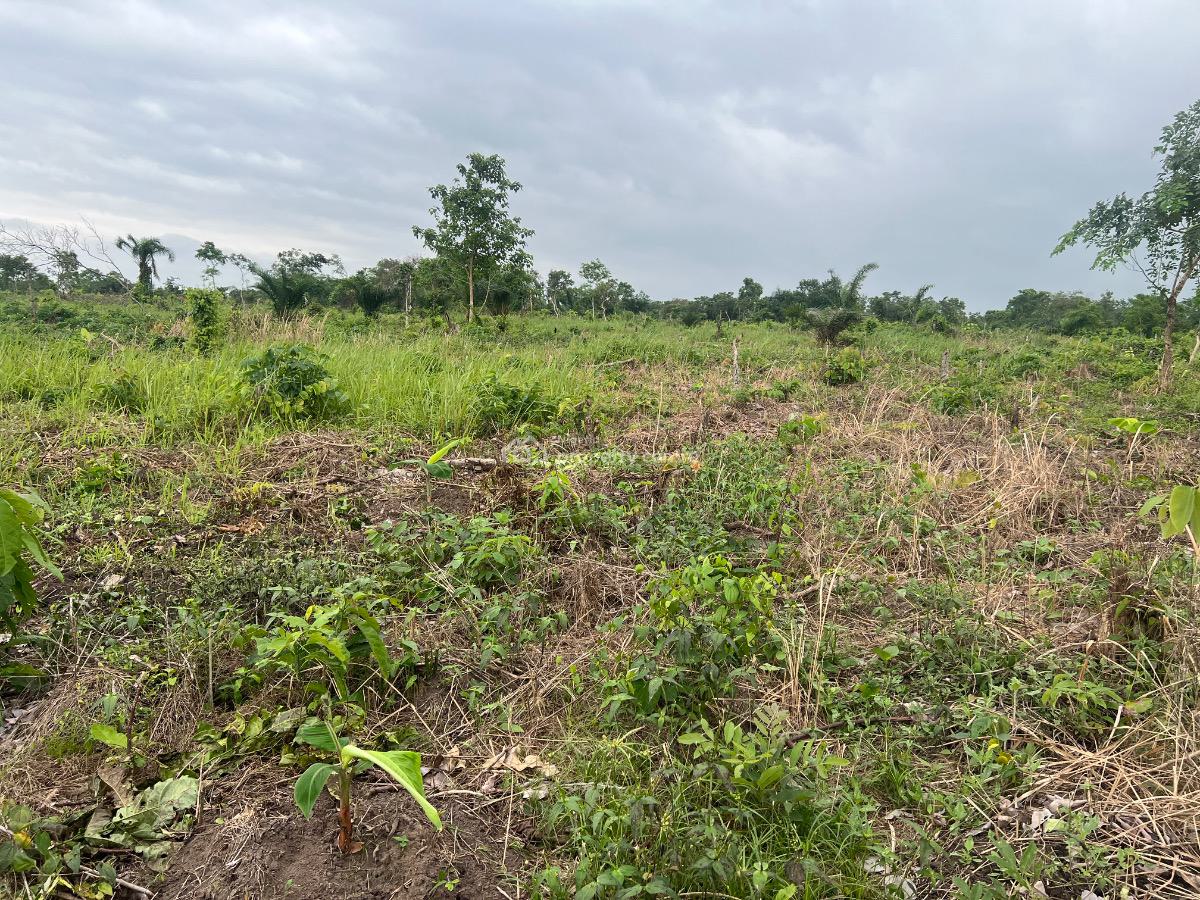 Own an Affordable Fertile Farmland with As Low As a 100k Deposit, Fertile Farmland with a Promo Offer , Buy 5 Plots Get 1 Free, Alabata, Abeokuta North, Ogun, Land for Sale
