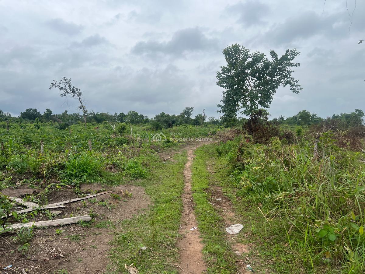Own an Affordable Fertile Farmland with As Low As a 100k Deposit, Fertile Farmland with a Promo Offer , Buy 5 Plots Get 1 Free, Alabata, Abeokuta North, Ogun, Land for Sale