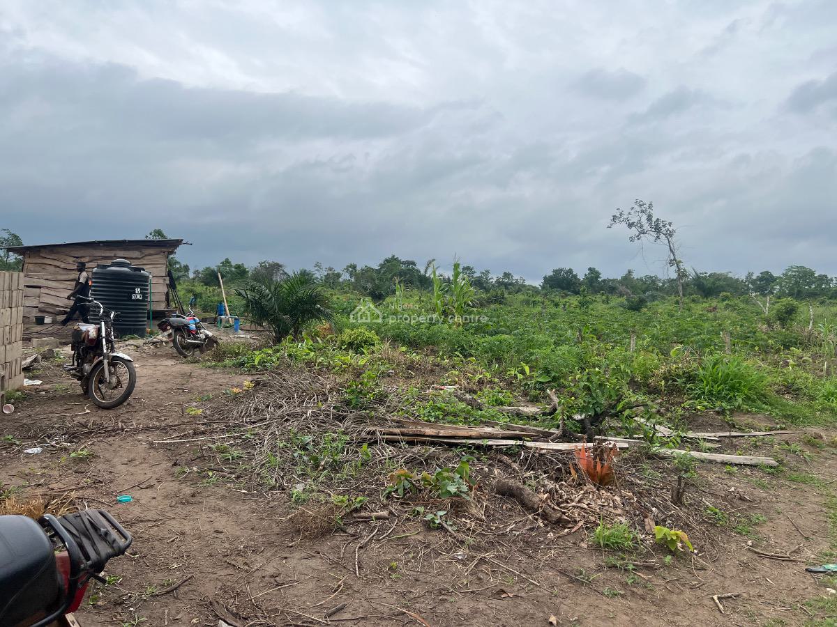 Plant and Grow. Your Own Food , Earn From Agricultural Real Estate, Buy 5 Plots , Get 1 Plot Free, Flexible Payment Plan Available, Abeokuta North, Ogun, Mixed-use Land for Sale