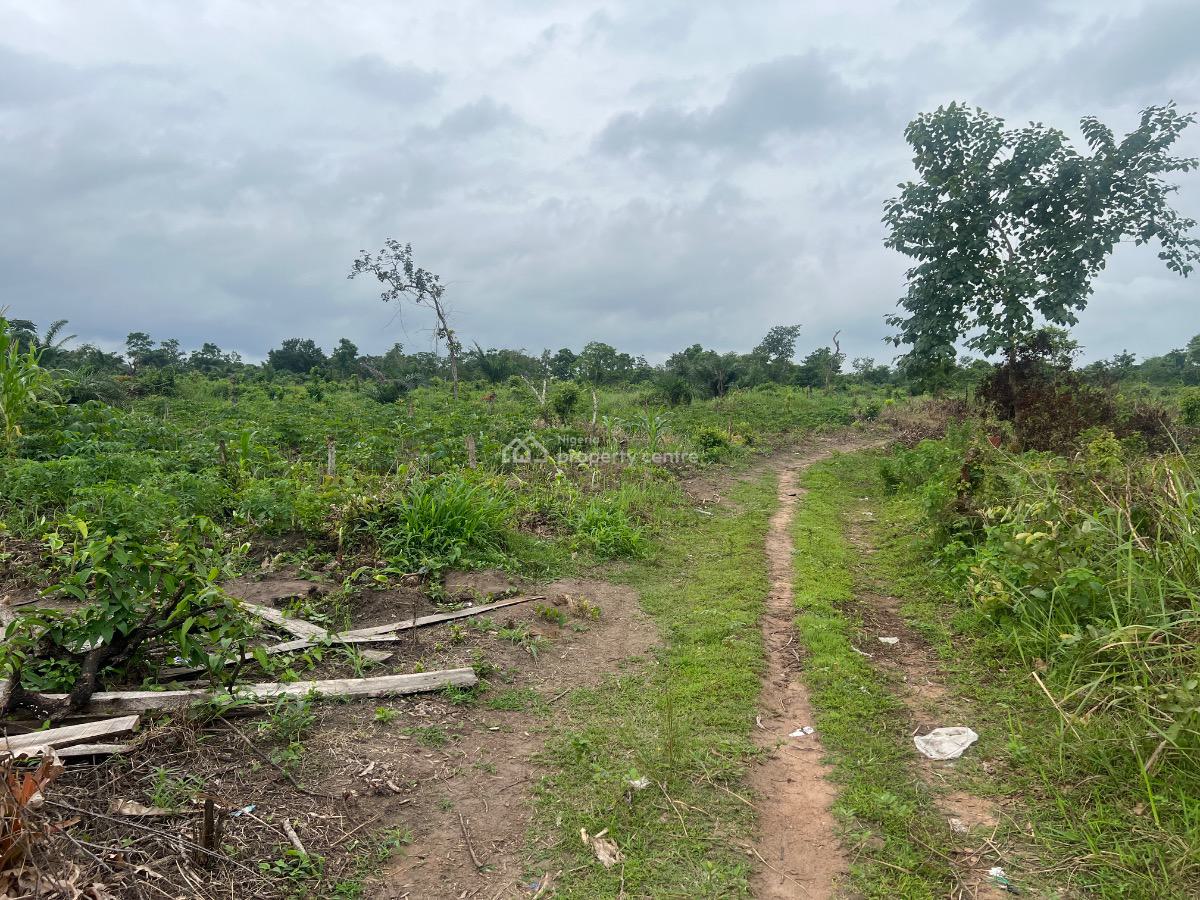 Plant and Grow. Your Own Food , Earn From Agricultural Real Estate, Buy 5 Plots , Get 1 Plot Free, Flexible Payment Plan Available, Abeokuta North, Ogun, Mixed-use Land for Sale