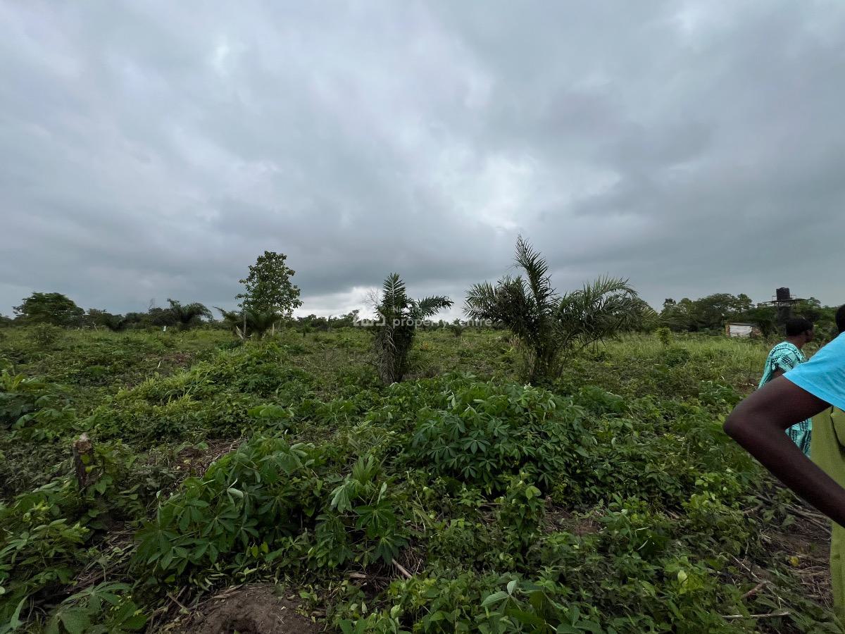Plant and Grow. Your Own Food , Earn From Agricultural Real Estate, Buy 5 Plots , Get 1 Plot Free, Flexible Payment Plan Available, Abeokuta North, Ogun, Mixed-use Land for Sale