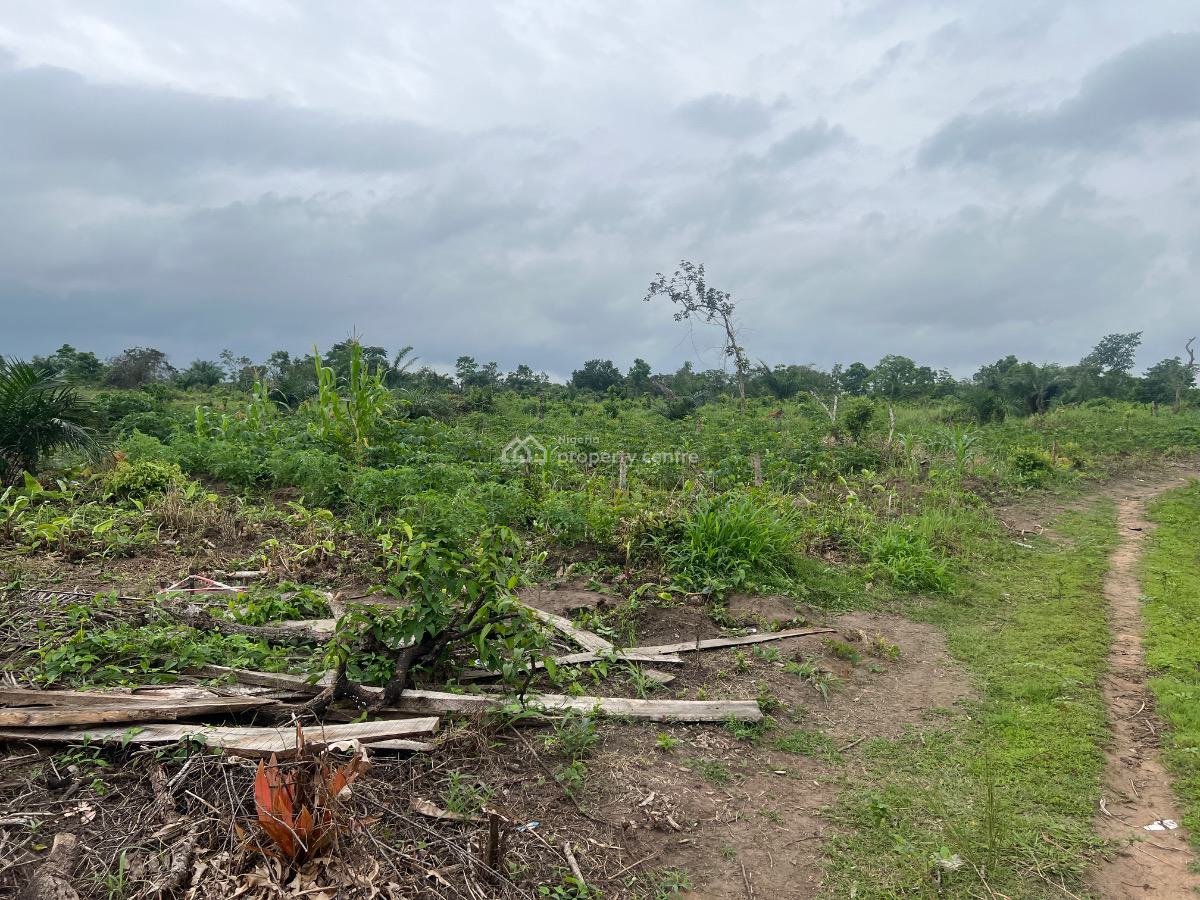 Own Acres of Affordable Farmland and Enjoy a Discount Offer, Greow Your Own Food and Make a Lot of Money From Farming, Abeokuta North, Ogun, Mixed-use Land for Sale