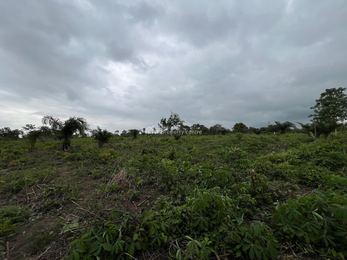 Own Acres of Affordable Farmland and Enjoy a Discount Offer, Greow Your Own Food and Make a Lot of Money From Farming, Abeokuta North, Ogun, Mixed-use Land for Sale