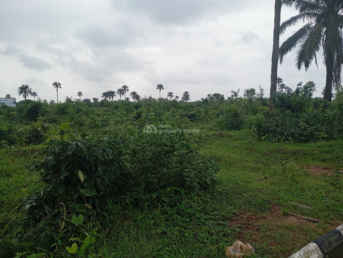 Your Future Invest Awaits You, Ibusa Oshimili North, Asaba, Delta, Mixed-use Land for Sale