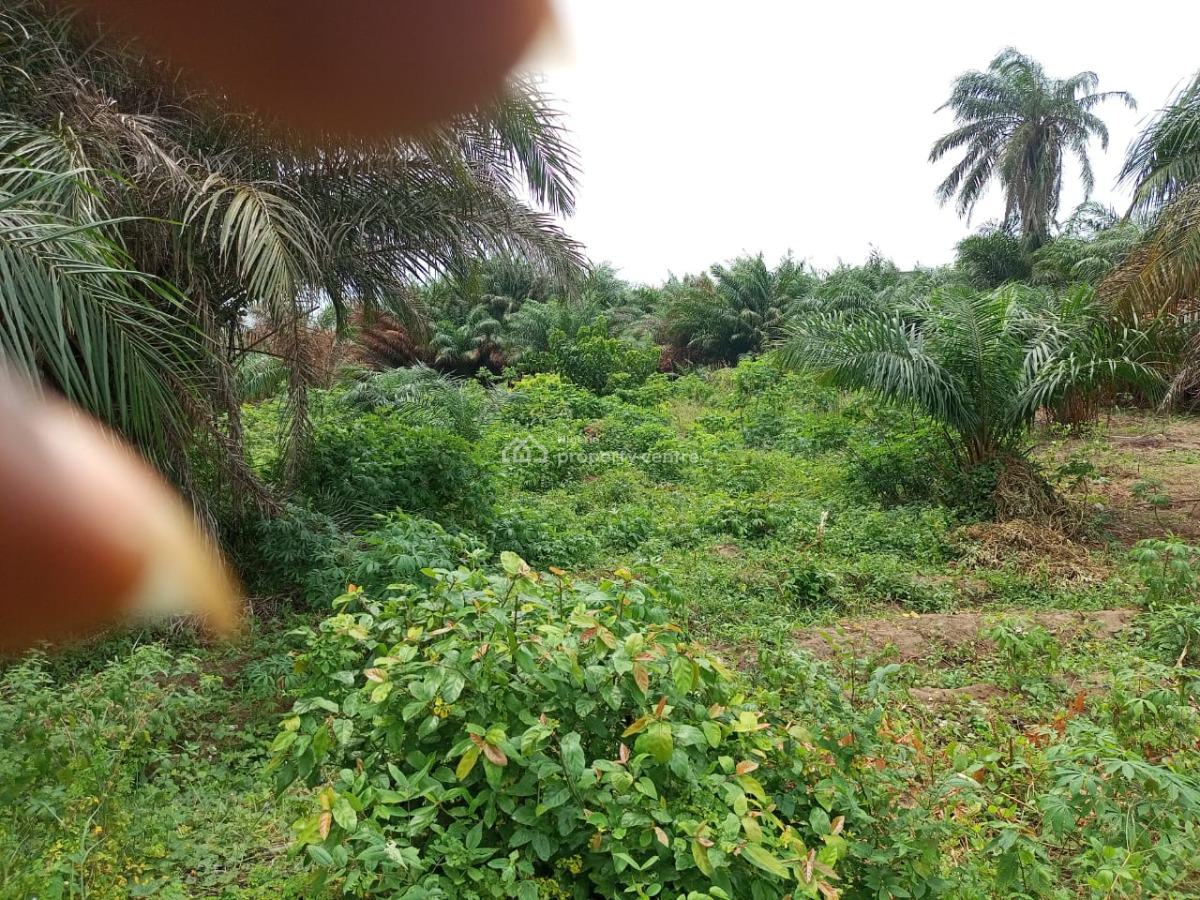 10 Plots of 100% Dry Land Facing Major Road, Oribanwa Phase2, Oribanwa, Ibeju Lekki, Lagos, Mixed-use Land for Sale