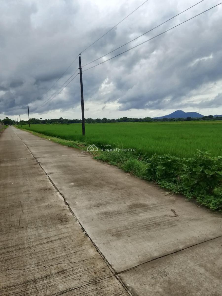 Commercial Estate Land Opposite The Expressway, Central Business District, Abuja, Commercial Land for Sale