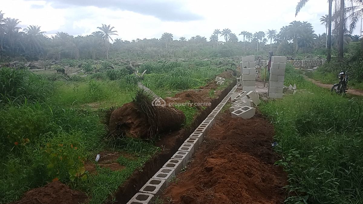 Registered Land Available with Genuine Documents with Fast Allocation, Obingwa Umuibe Ohanze Ogborhills, Aba, Abia, Land for Sale