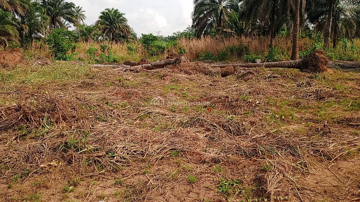 Registered Land Available with Genuine Documents with Fast Allocation, Obingwa Umuibe Ohanze Ogborhills, Aba, Abia, Land for Sale