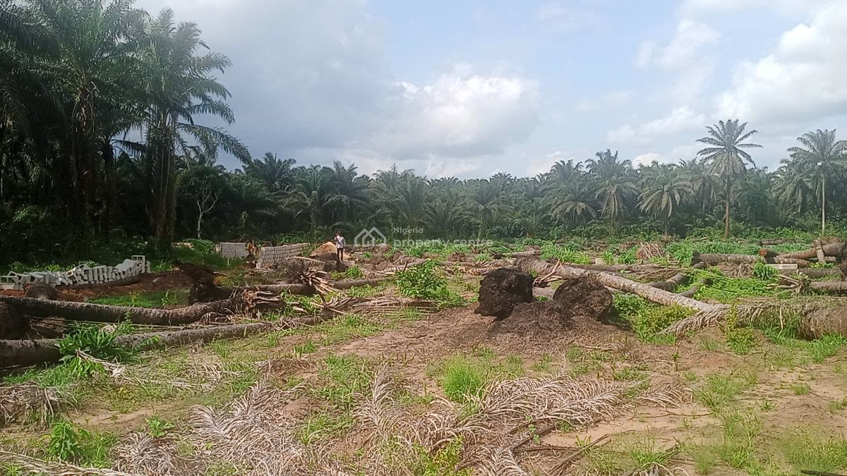 Registered Land Available with Genuine Documents with Fast Allocation, Obingwa Umuibe Ohanze Ogborhills, Aba, Abia, Land for Sale