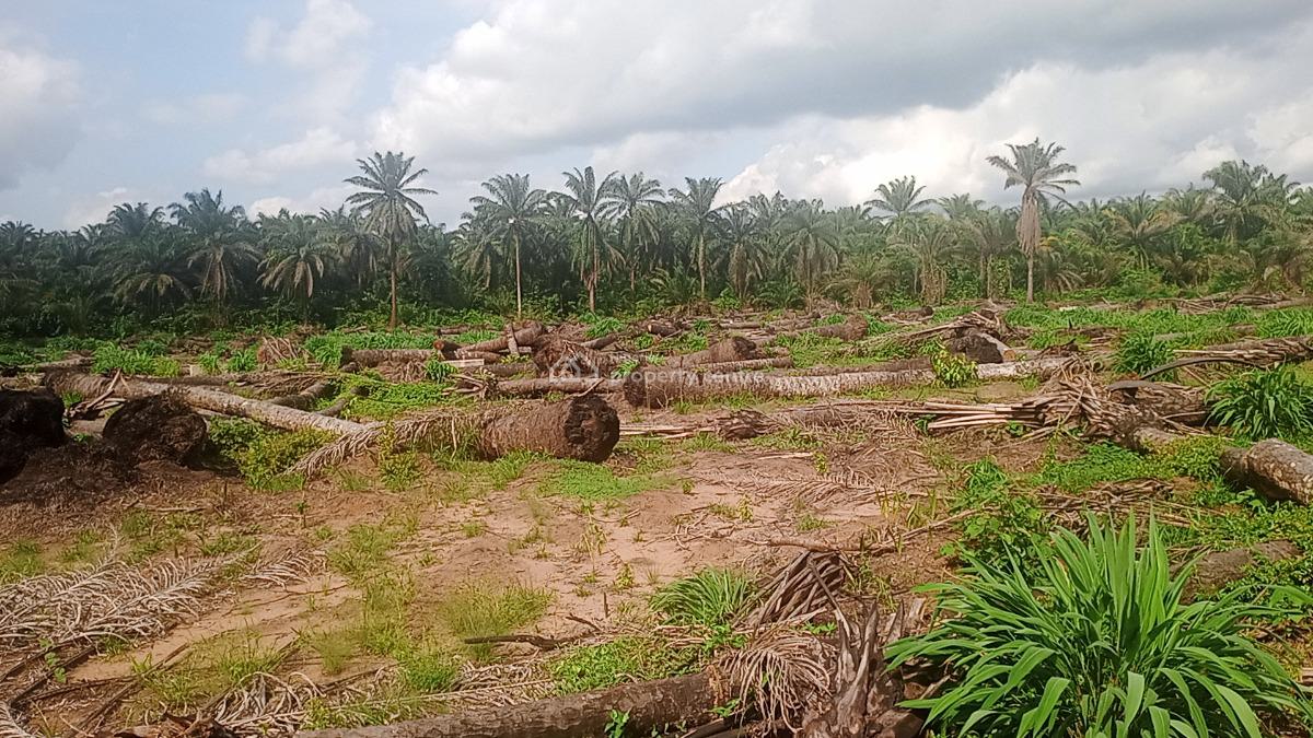 Registered Land Available with Genuine Documents with Fast Allocation, Obingwa Umuibe Ohanze Ogborhills, Aba, Abia, Land for Sale