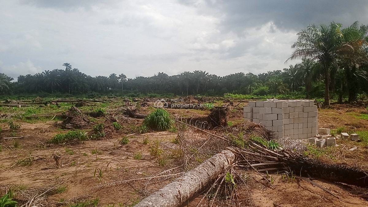Registered Land Available with Genuine Documents with Fast Allocation, Obingwa Umuibe Ohanze Ogborhills, Aba, Abia, Land for Sale
