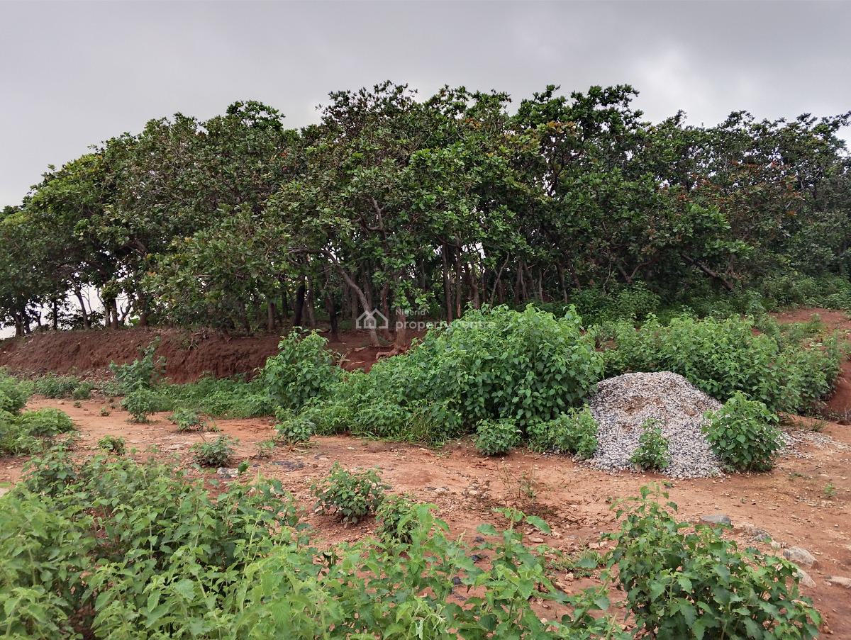 Residential Plot, Beside Paradise Estate 1, Katampe (main), Katampe, Abuja, Residential Land for Sale