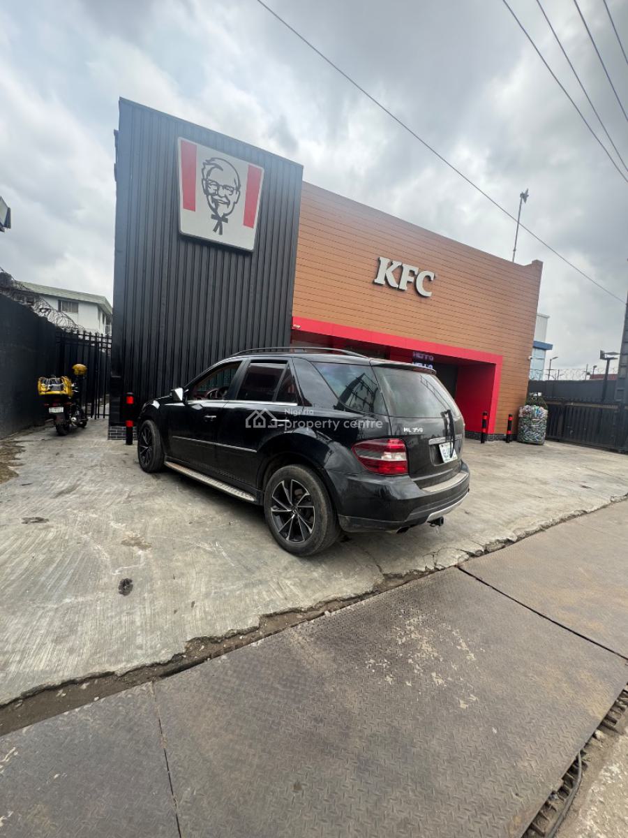Land on The Major Road, Directly on Ijaye Road Off Wemco, Ogba, Ikeja, Lagos, Commercial Land for Sale