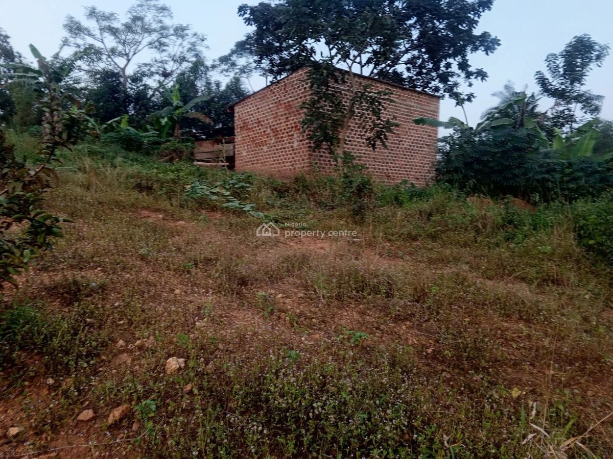 Bushy Land Suitable for Longtime Investment, Land Banking, Jikwoyi, Abuja, Land for Sale