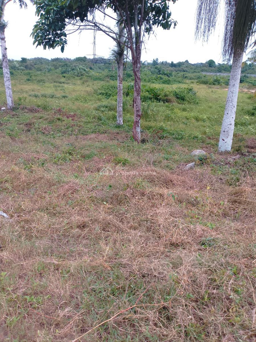 Dry Affordable Land, Along Futo Junction to Ilile Road, Obinze, Owerri Municipal, Imo, Land for Sale