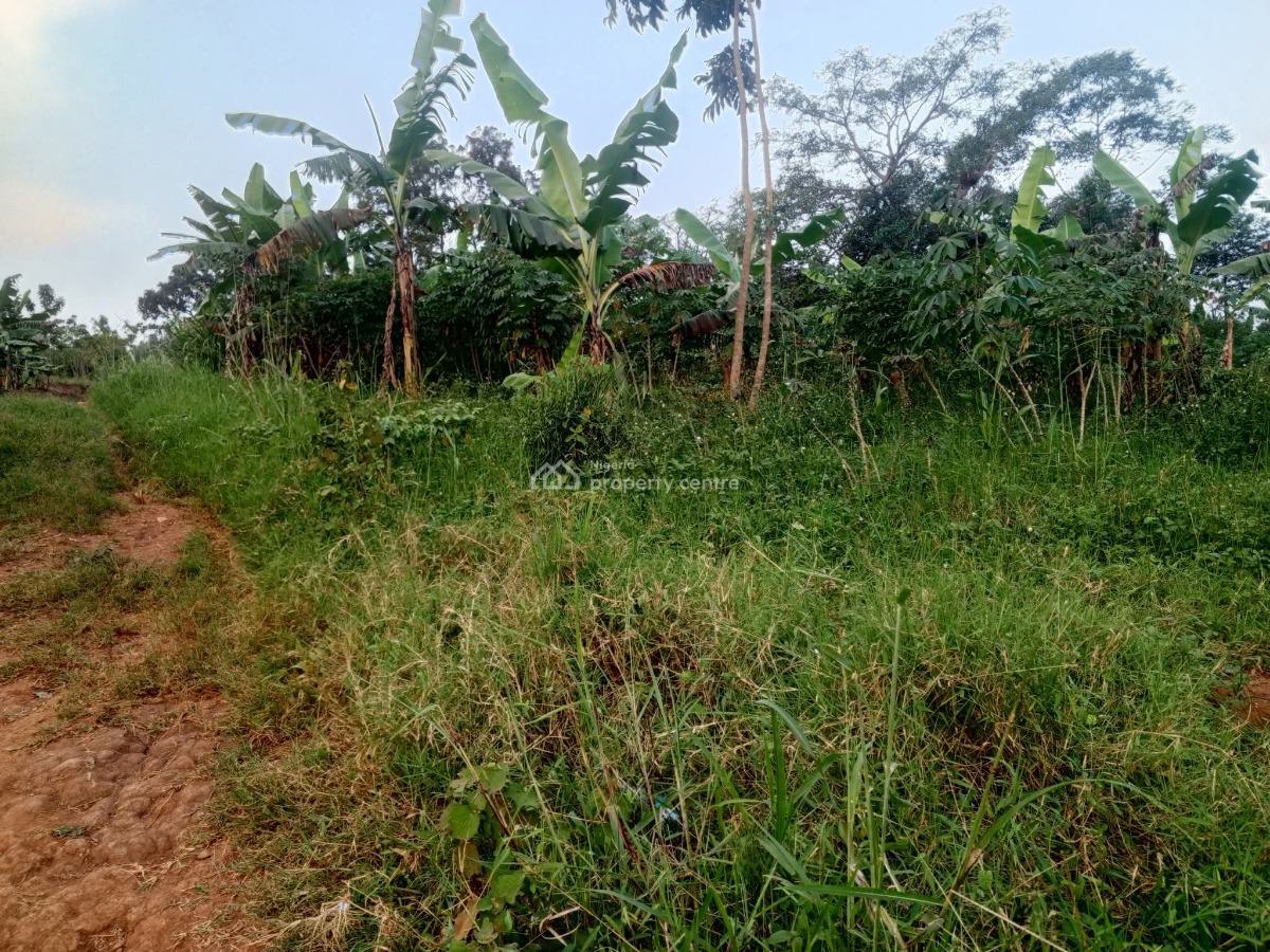 Farming Estate with Good Soil Texture, Obada Oko, Abeokuta South, Ogun, Land for Sale
