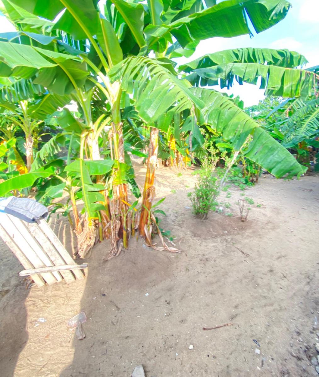Half Plot of Dryland Measuring 330sqm at Alashela Estate, Alashela Estate Ogombo, Ajah, Lagos, Residential Land for Sale