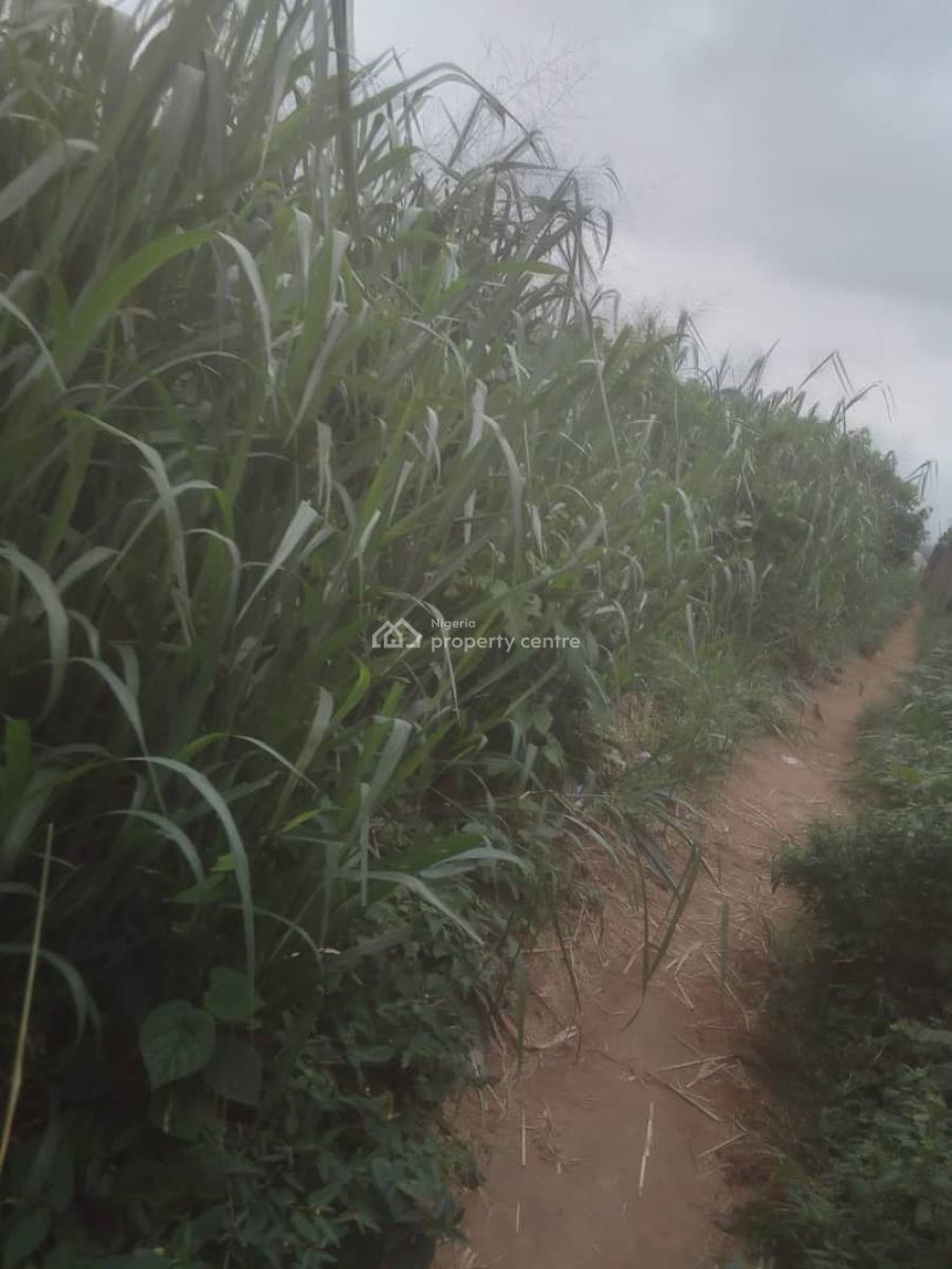 5 Acres of Land, Ishagamu Road, Ikorodu, Lagos, Land for Sale