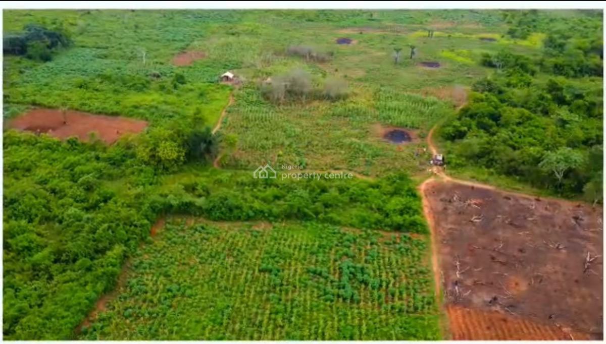 Own a 2.5m Acre and 6.250m Hectares of Oil Palm Plantation, Yews,north Ogun State, Abeokuta North, Ogun, Industrial Land for Sale