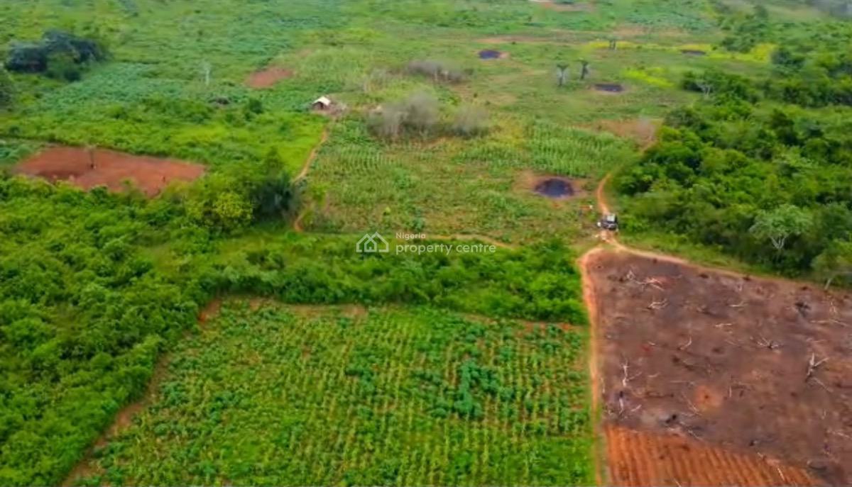 Own a 2.5m Acre and 6.250m Hectares of Oil Palm Plantation, Yews,north Ogun State, Abeokuta North, Ogun, Industrial Land for Sale