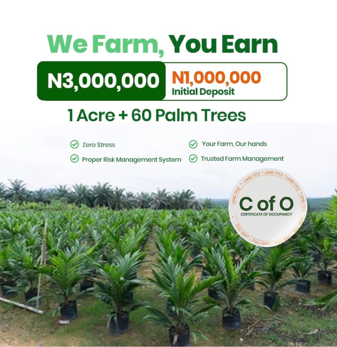 We Farm, You Earn with Oil Palm  Plantation, Yewa,north, Abeokuta North, Ogun, Industrial Land for Sale