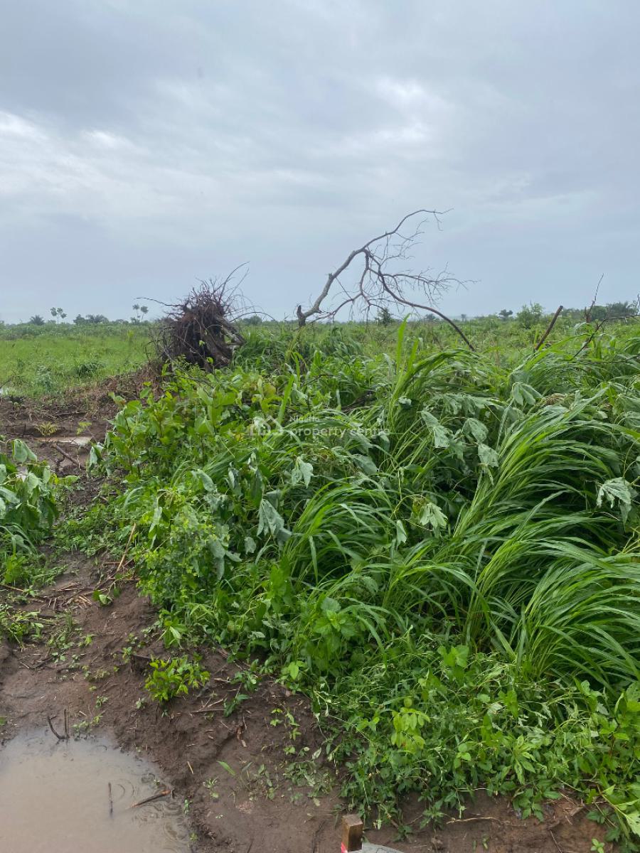 Palmrich Estate: Title Guaranteed, Investment Secured, Ewekoro, Ogun, Mixed-use Land for Sale