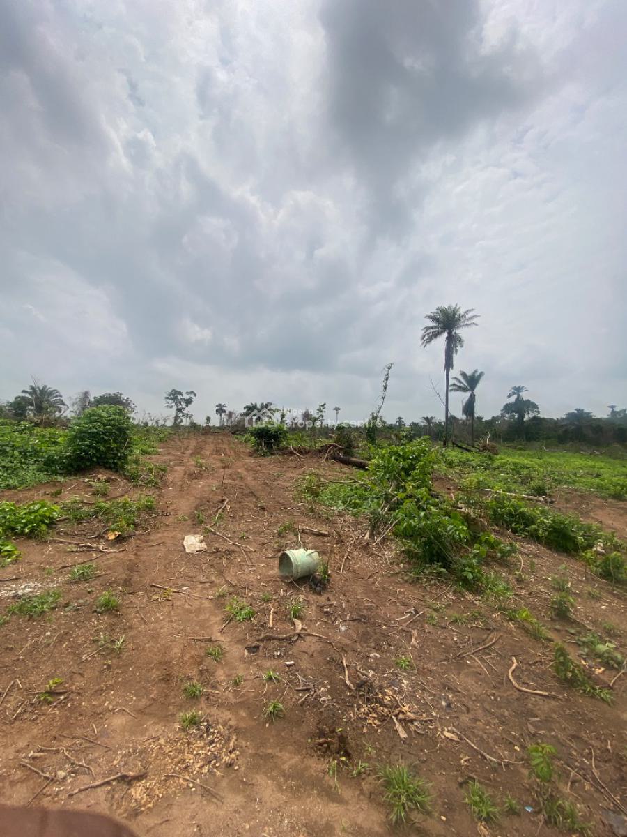 Affordable Land Investment, Imota, Ikorodu, Lagos, Mixed-use Land for Sale