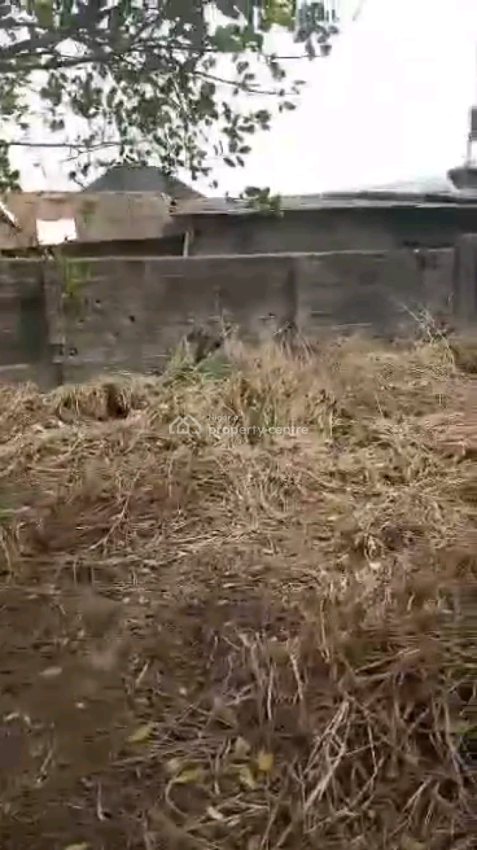 Two Plots of Dry Land, Igando Road, Isheri Olofin, Alimosho, Lagos, Commercial Land for Sale