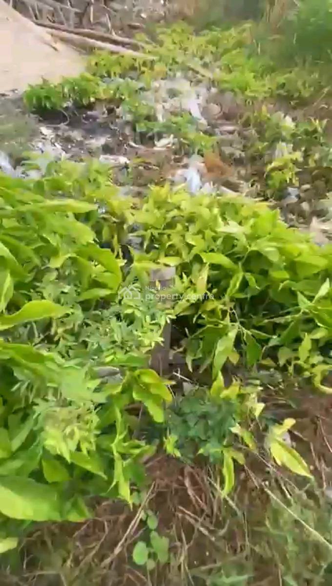 a Half Plot Measuring 305.035sqmtrs, Off Yetunde Brown, Ifako, Gbagada, Lagos, Land for Sale