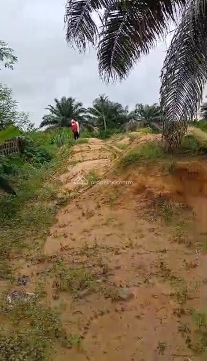 2 Plots of Prime Land Directly Facings Express Way, Opposite Beechwood Estate, Imalete Alafia, Ibeju Lekki, Lagos, Mixed-use Land for Sale