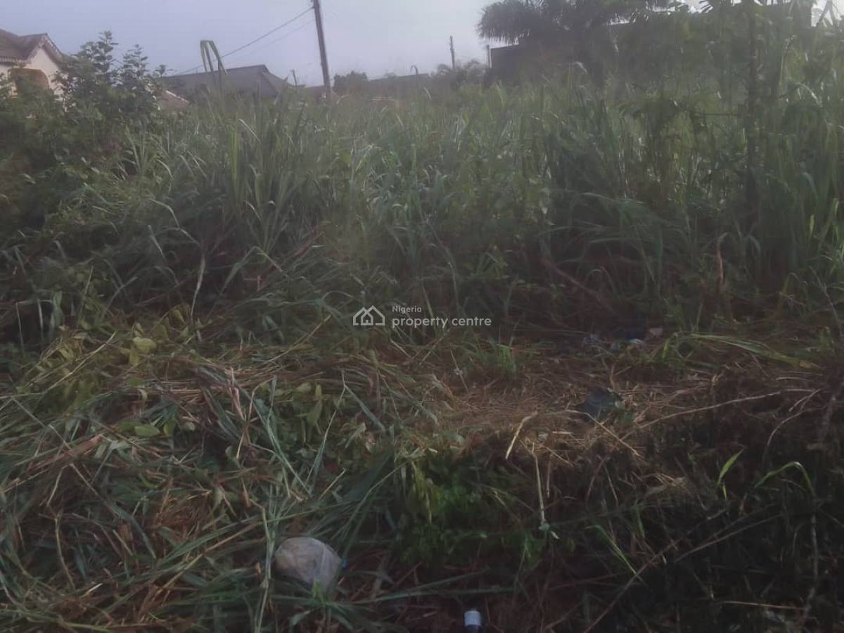 350 Acres of Land at Shotubo Ishagamu Local Government, Shotubo Ishagamu Local Government., Sagamu, Ogun, Land for Sale
