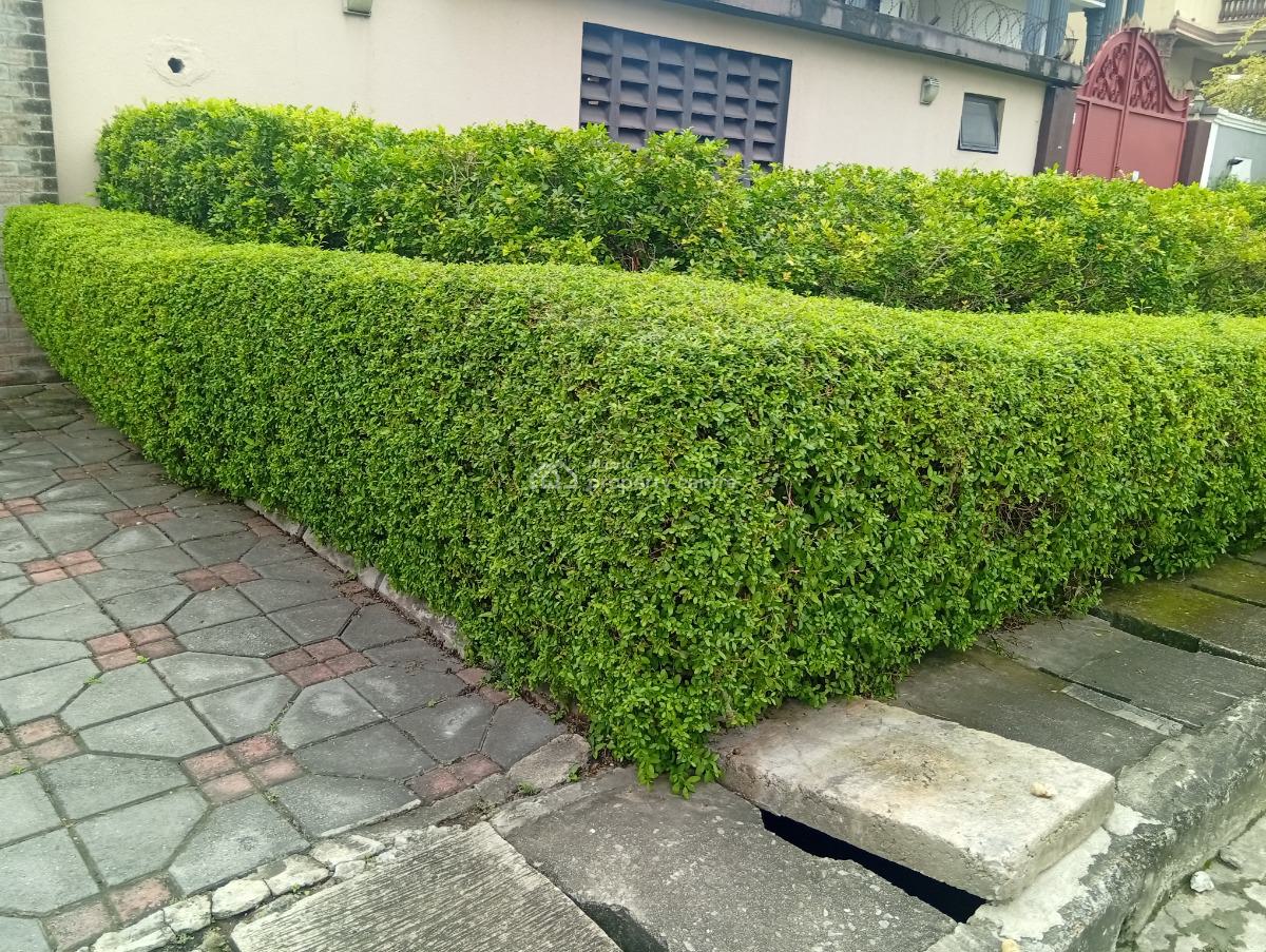 a Self Serviced 5 Bedroom Detached House with 2 Bq, Lekki Phase 1, Lekki, Lagos, Detached Duplex for Rent