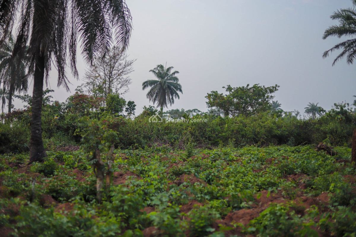 Farmland in Oyo-iseyin, Iseyin, Oyo, Land for Sale