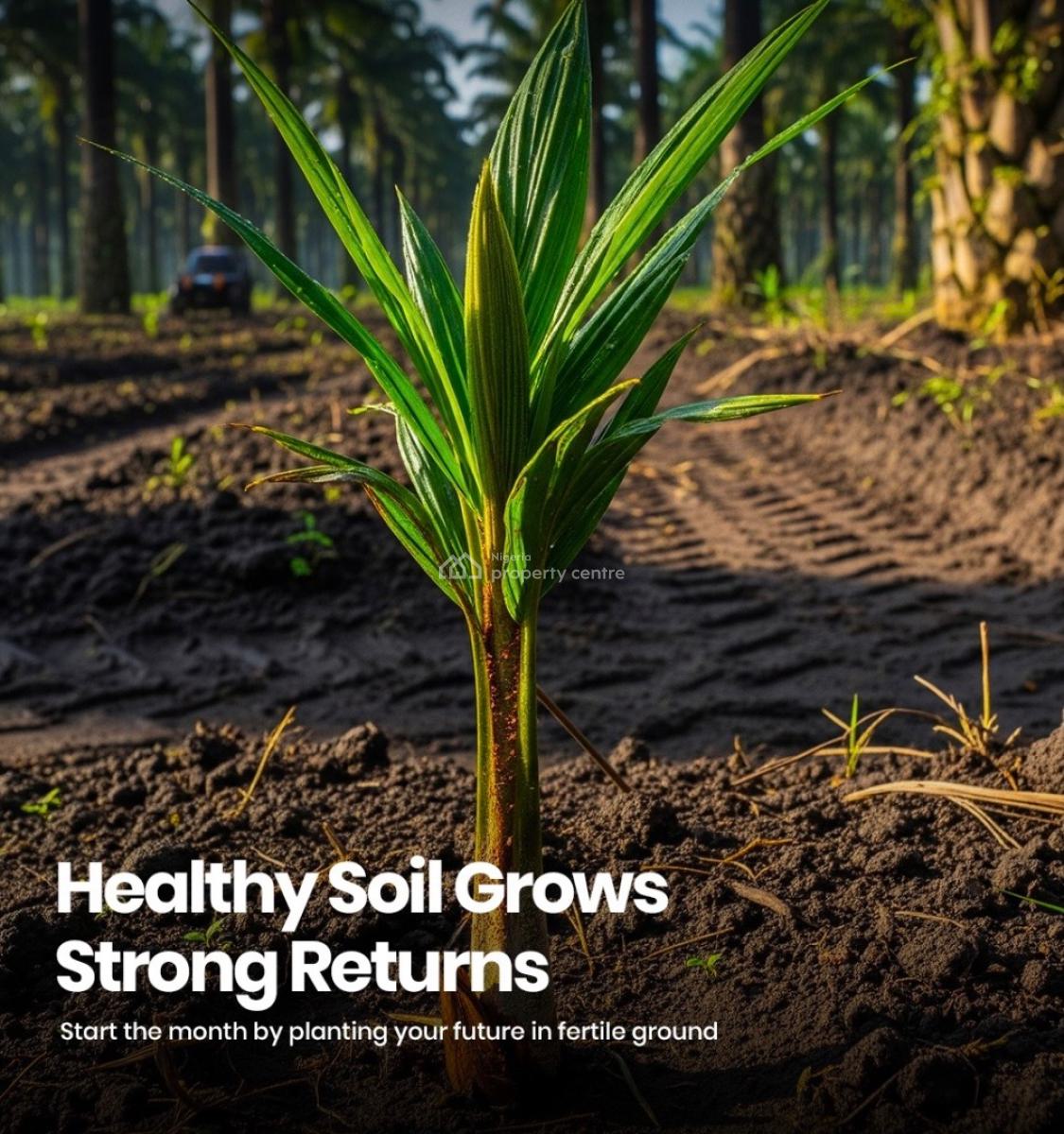 Own a 10.6m Hectares of Palm Oil Agro Farmland, Ibese Ewekoro, Sango Ota, Ogun, Industrial Land for Sale