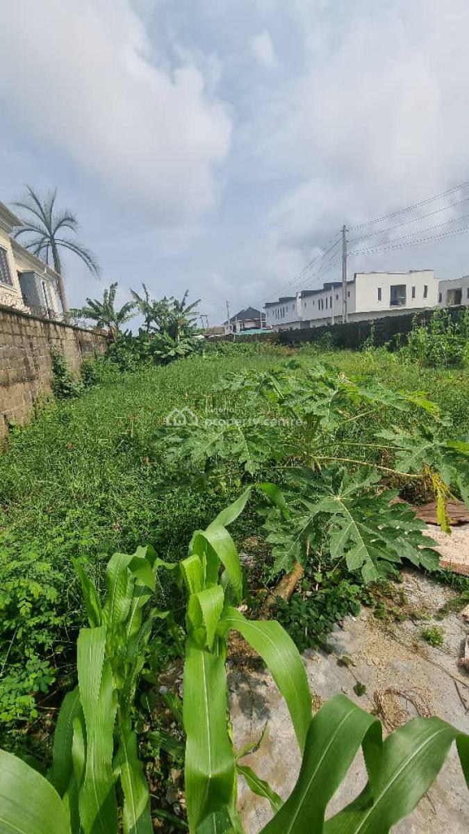 Land Space, General Paint, Ajah, Lagos, Land for Rent