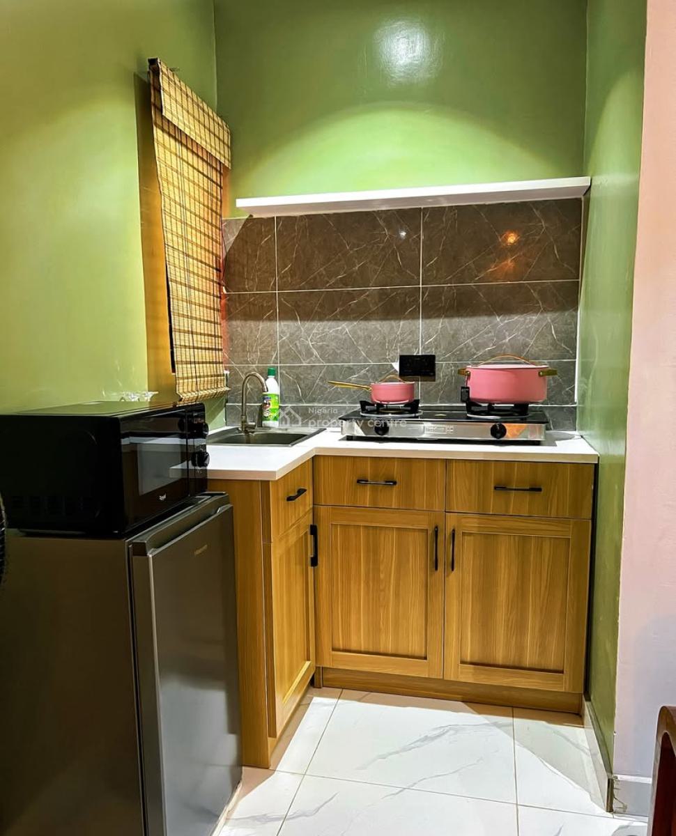 Luxury One Bedroom Apartment, Surulere, Lagos, Mini Flat (room and Parlour) Short Let