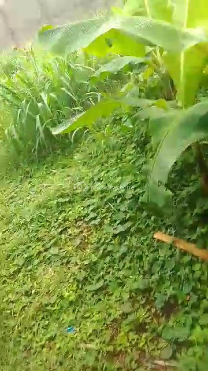 a Plot of Land, Unity Estate, Egbeda, Alimosho, Lagos, Land for Sale