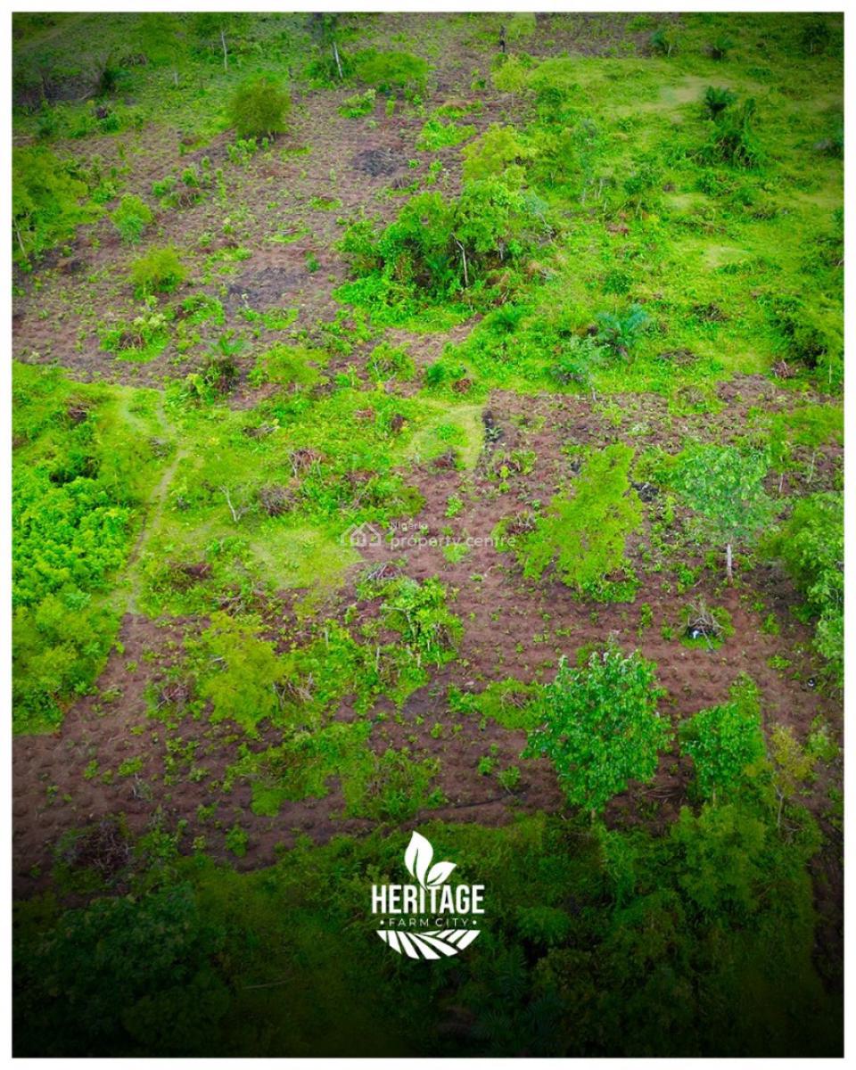 Plots of Farmland Off Federal University of Agriculture Road, Cocoa, Plantain, Cashew and Oil Palm, Abeokuta North, Ogun, Commercial Land for Sale