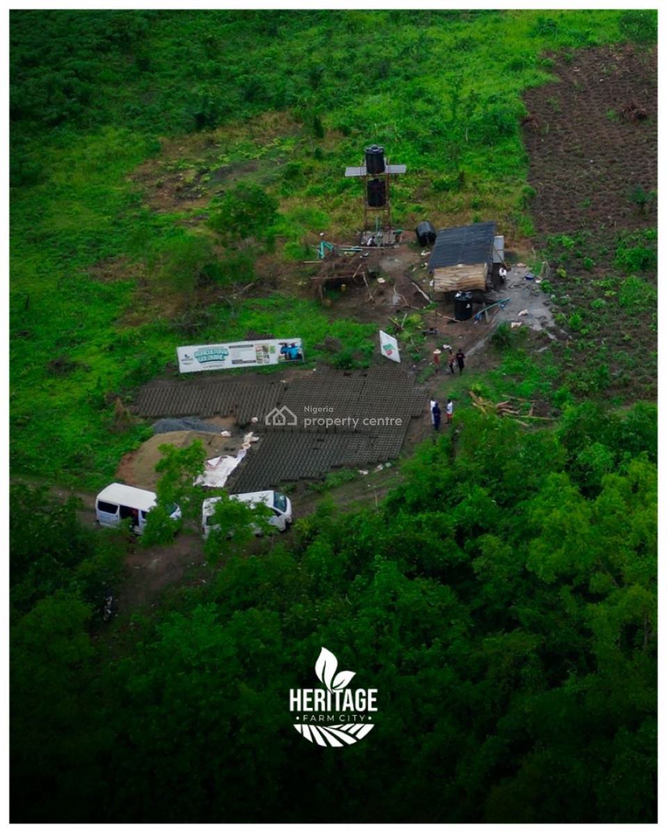 Plots of Farmland Off Federal University of Agriculture Road, Cocoa, Plantain, Cashew and Oil Palm, Abeokuta North, Ogun, Commercial Land for Sale