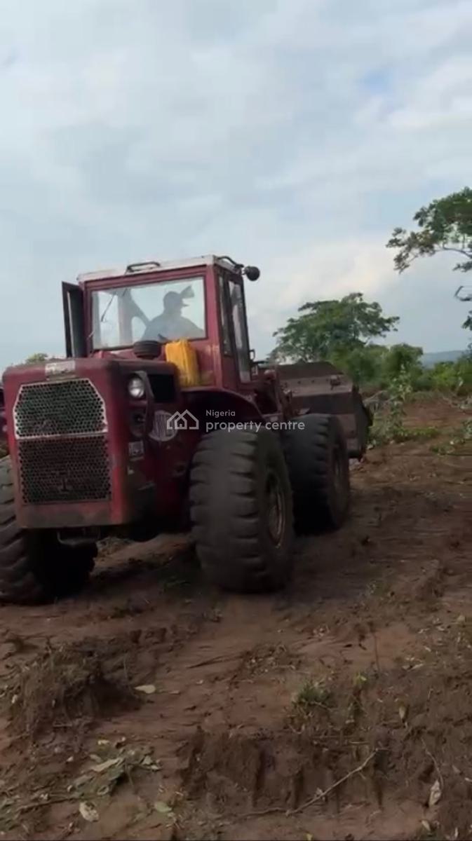 Own an Oil Palm Plantation, Yewa North, Abeokuta North, Ogun, Industrial Land for Sale